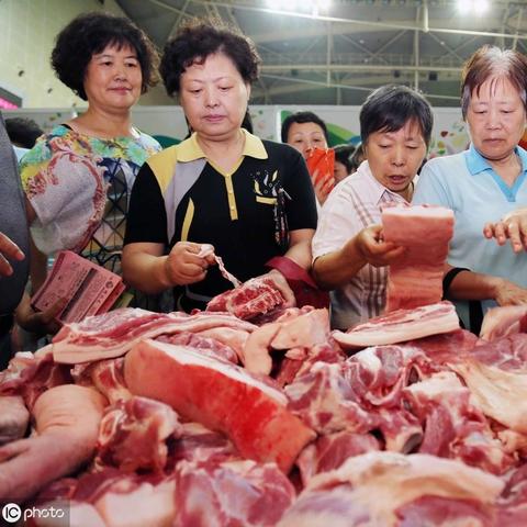 肉苗鸡价格行情最新分析