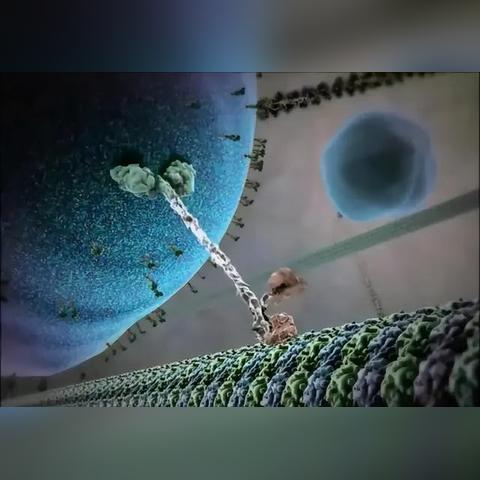 鹿病毒研究最新进展报告