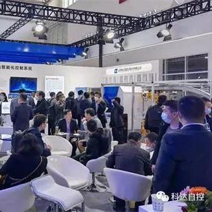 伊茂森最新动态报道
