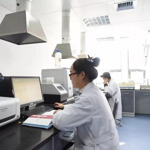 山东海龙最新动态简报