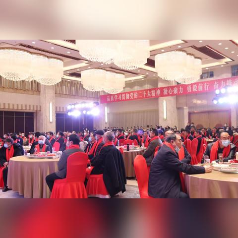 成州网，成县最新新闻报道