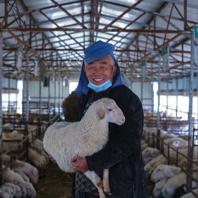 2025全年资料大全正版最快开,羊、鸡、狗、龙_15-28-21-40-16-42 T：102.731,可靠执行操作方式