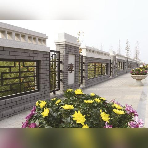 胶南泊里最新招聘信息全面解析
