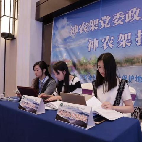 招聘汇总信息