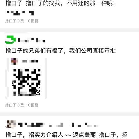 揭秘金融新趋势下的机遇与挑战，最新无视黑户口子解析