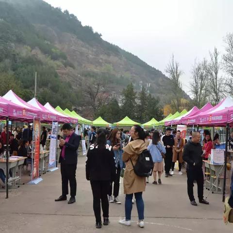 延安市最新招聘信息网全面解析