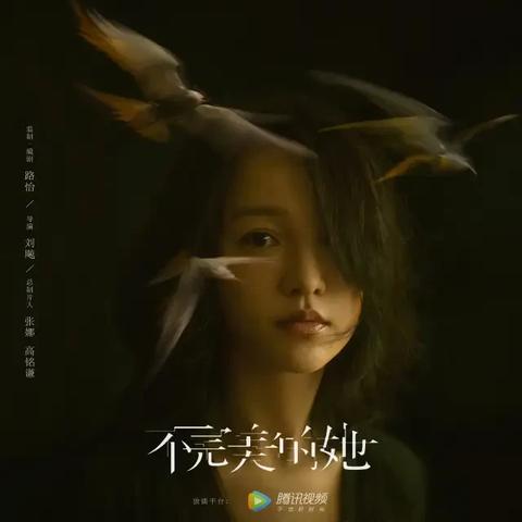 勇敢者电视剧最新动态，深度解读