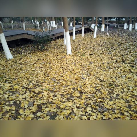 株洲县风光带建设最新动态